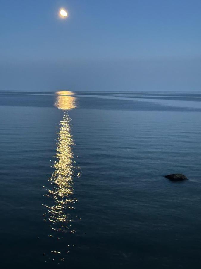 The Wind In The Willows - Luxury Lakefront Oasis Bed & Breakfast Кобург Екстериор снимка